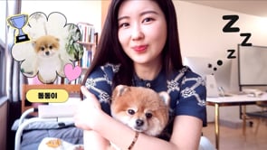 4 Must-Know Korean Words & Phrases 'Being Sleepy'