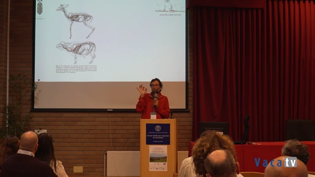 Biodiversidad y servicios ecosistémicos