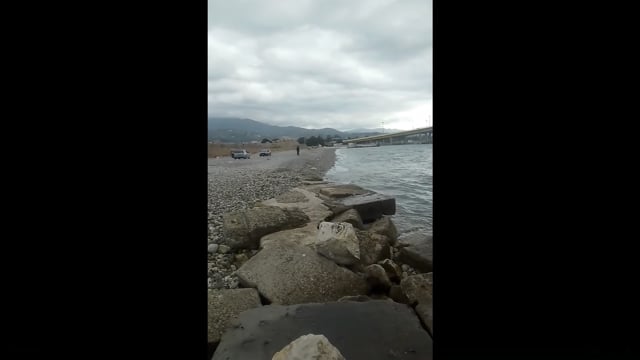 Γάτα έπεσε στη θάλασσα από τη γέφυρα Ρίου Αντιρρίου – Αδιαφόρησε η Πυροσβεστική και το Λιμενικό δεν είχε σκάφος 26-10-2025