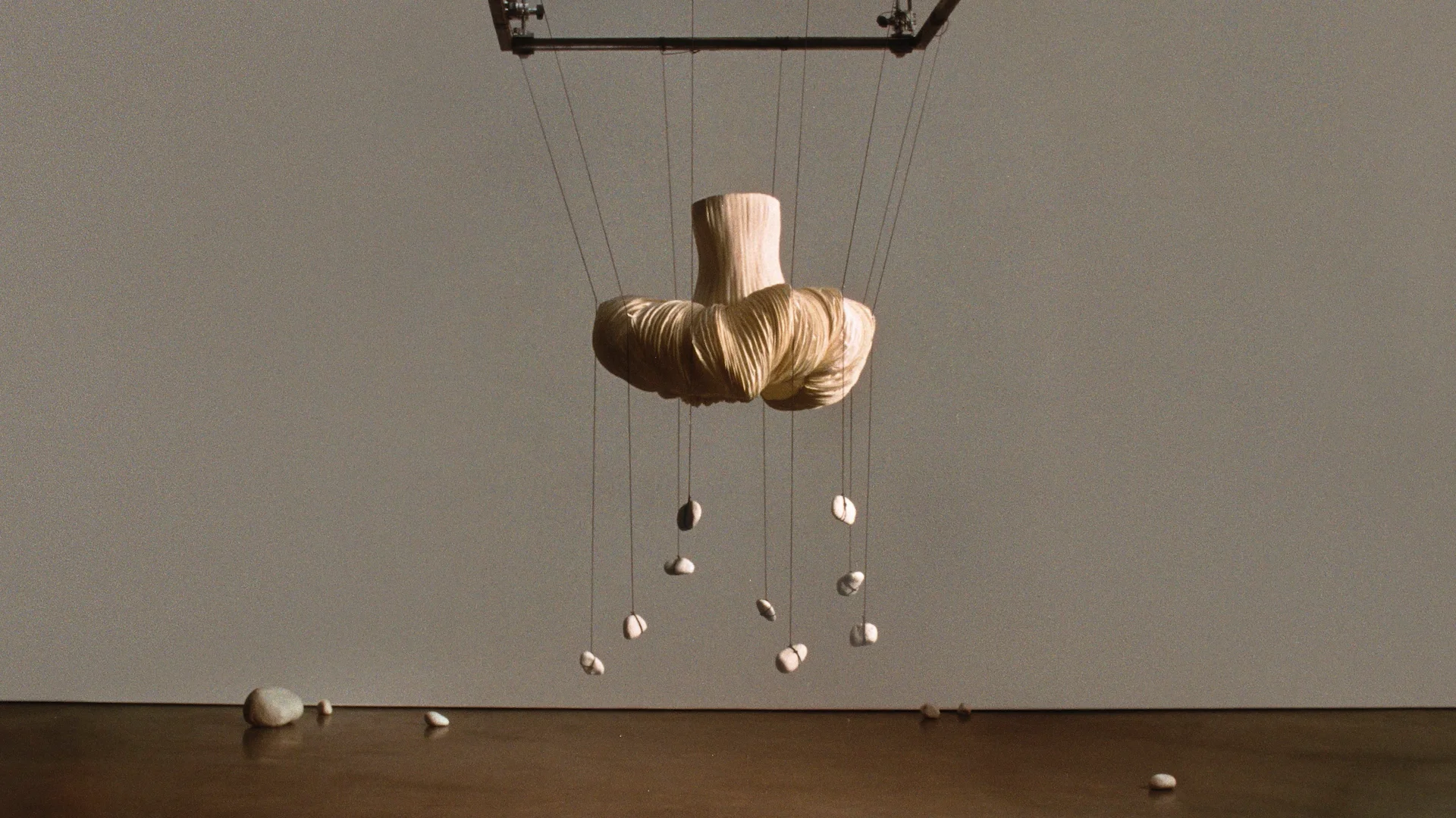 Motion — Lisa Jahovic, Mini Title 2025