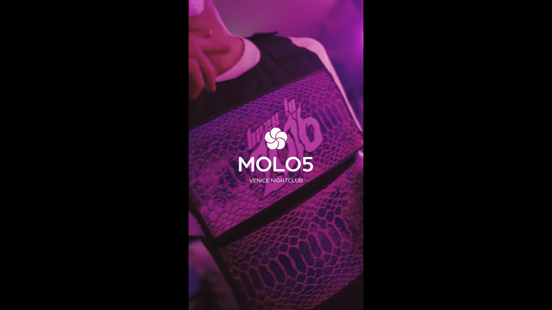 "Back to 2016" Aftermovie - MOLO 5 -  13 Settembre 2025