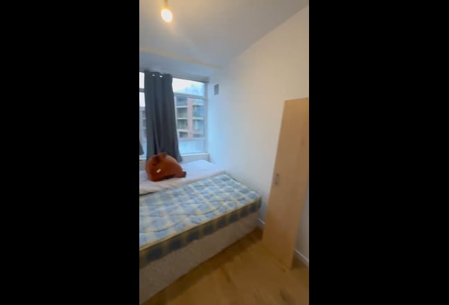 🔴🟡🟢 TWO Massive Double Rooms ╹ View ASAP 🟠🔵⚫ Main Photo