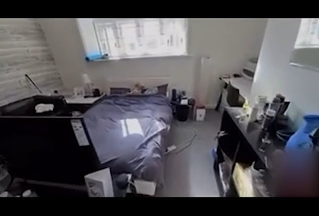 Spacious room modern flat - first month rent free Main Photo