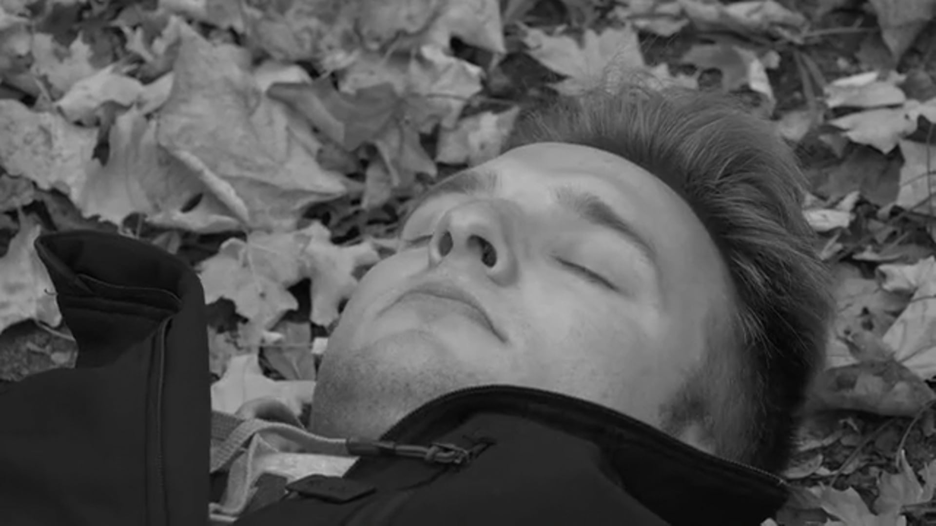 The Blair Witch of Busse Woods: The Aaron Anastos Mystery