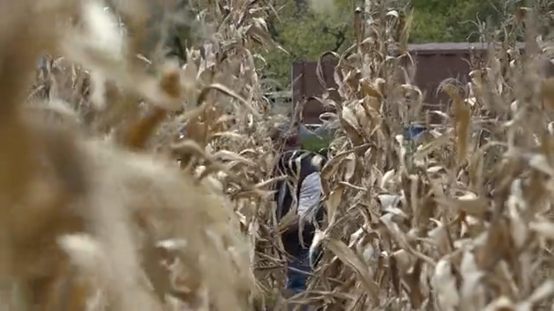 A New Chapter in the Morrow Plots: Preserving the Past, Planting the Future