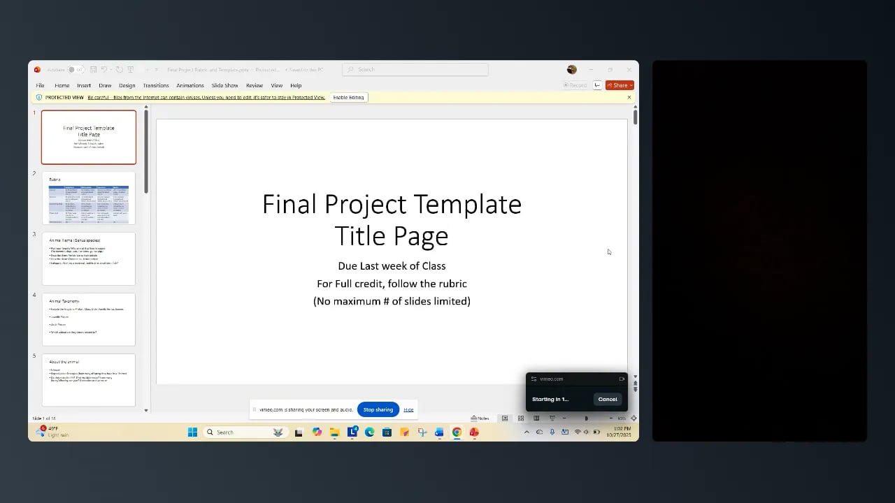 Final Project Template Video | Videos & Movies on Vimeo