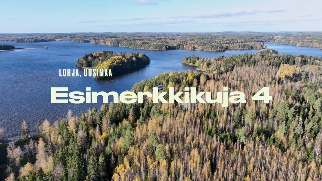 Toista