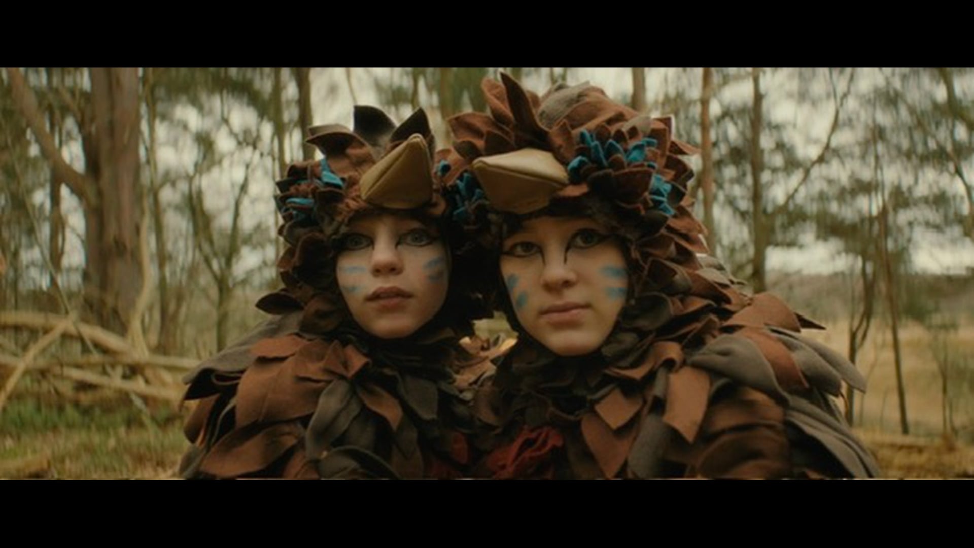 Fugleværnsfilmen SUBS