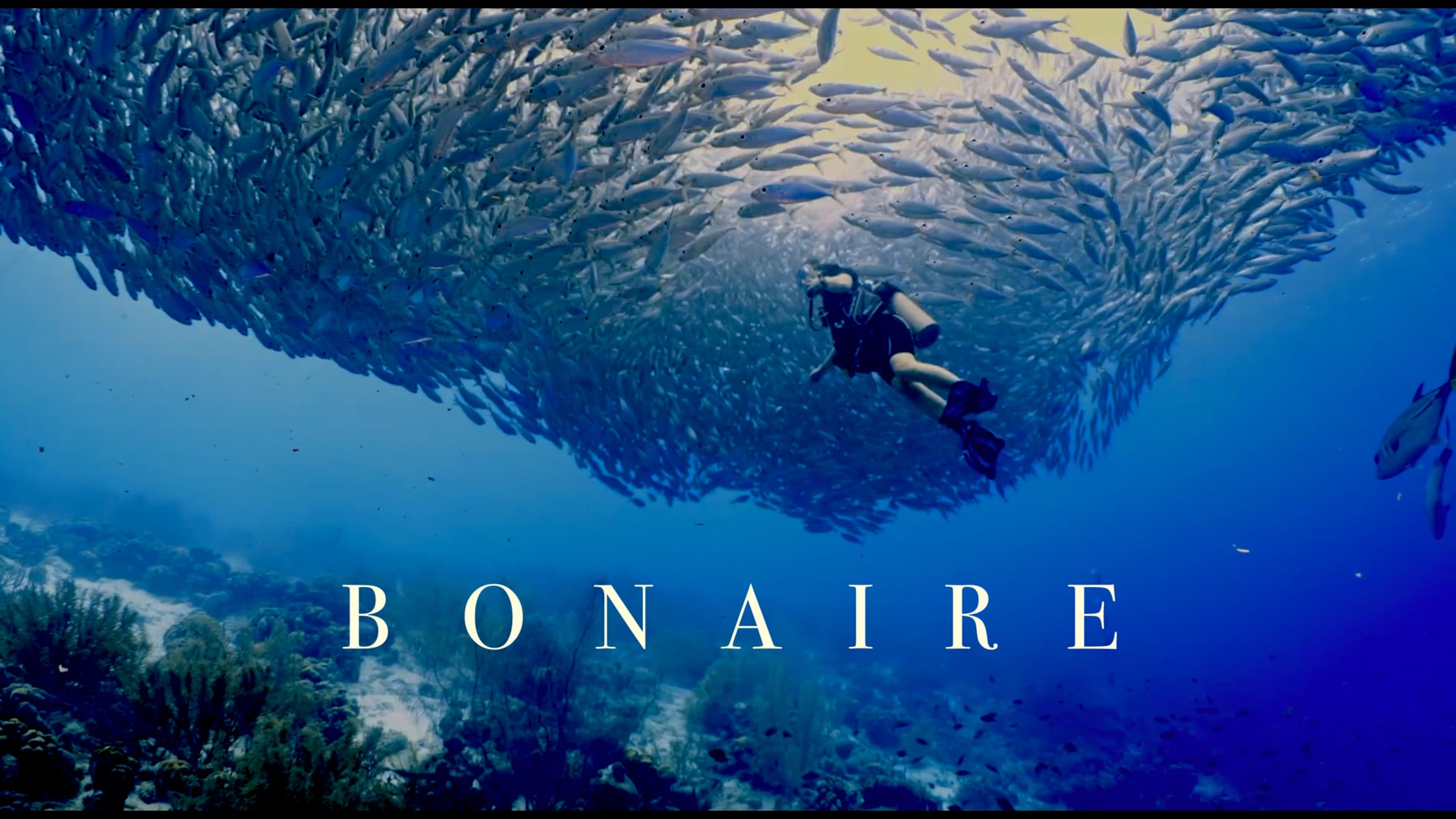 BONAIRE