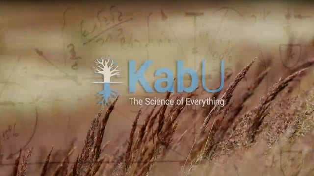 Oct 26, 2025 – Lesson #16 – The Game of Life