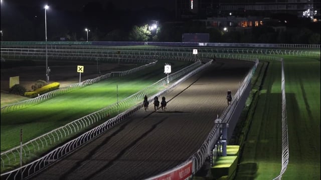 Zousain x Erin's Element Colt - Track work 241025