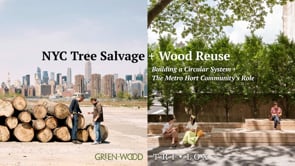 2025 10/09 NYC Tree Salvage + Wood Reuse