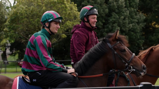 2025 NZB Breeze Ups | BMD Bloodstock