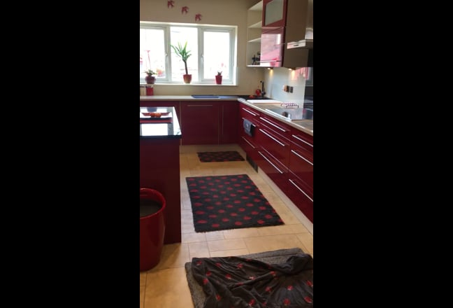 Spacious Double Room in a modern house Main Photo