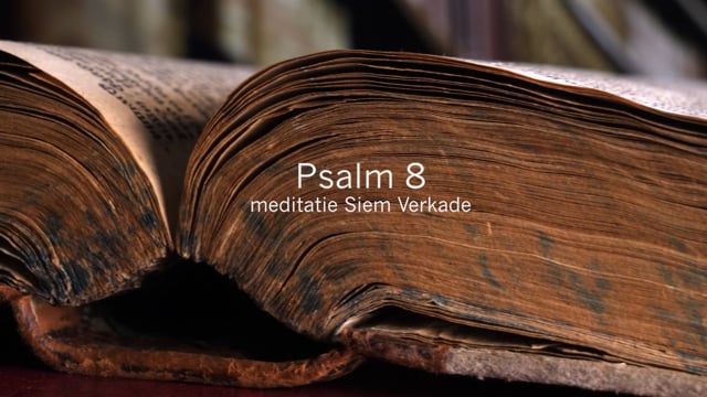 Psalm 8