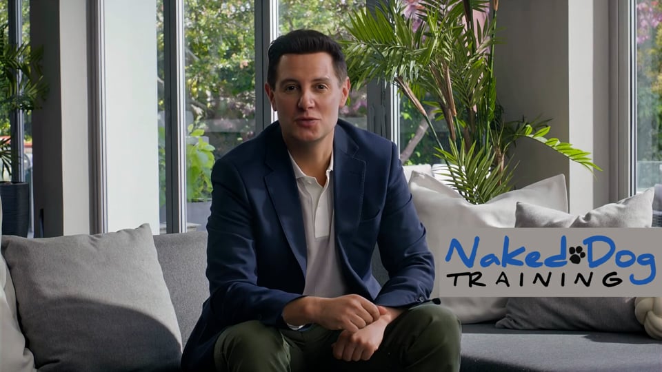 Natural Law & Having Your Dog Trained