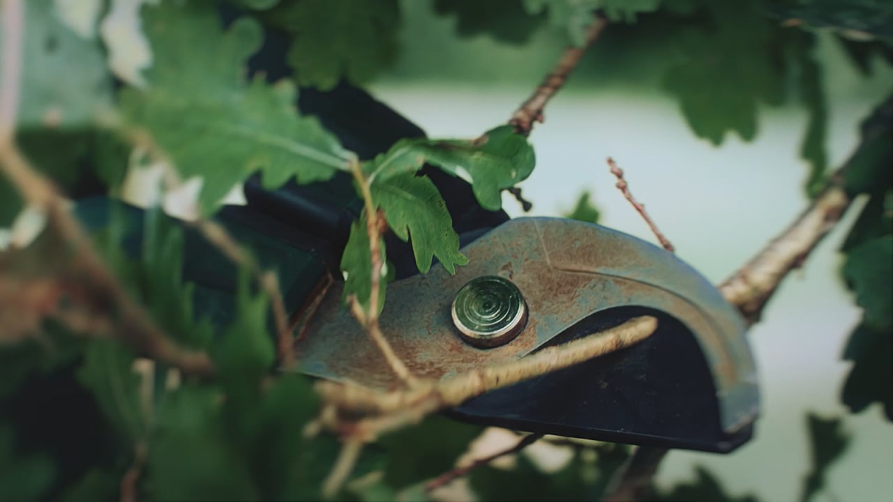 De MAN TGE - Onweerstaanbaar design, indrukwekkende prestaties.