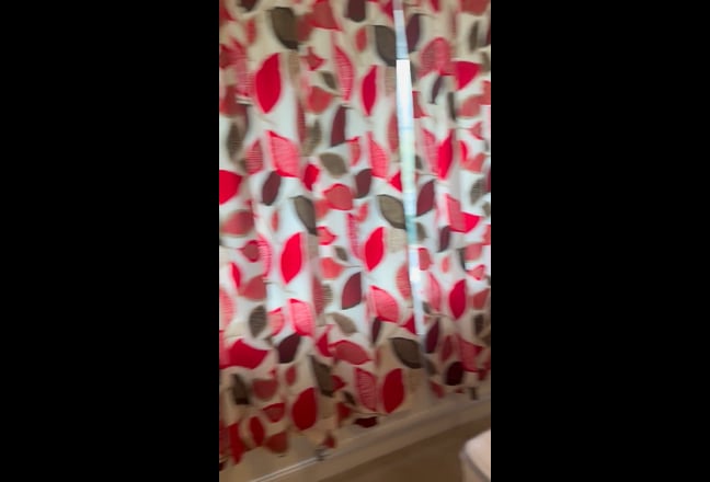 1 bedroom house share available Main Photo