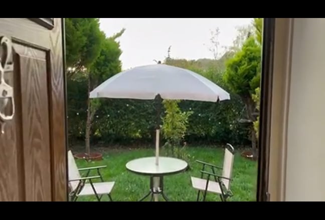 Double room with garden Main Photo