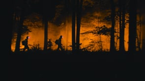 Related Embedded Video Item Thumbnail