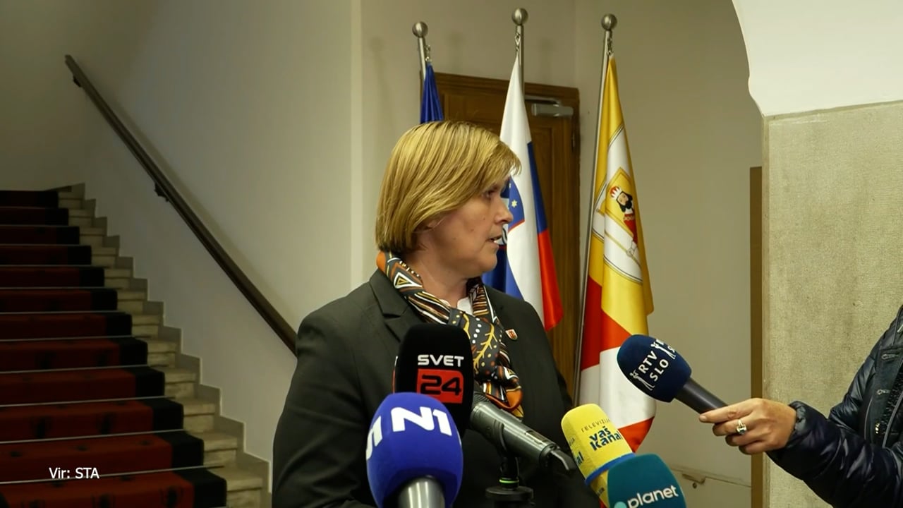 V Metliki zbranim za shod grozila in jih nadlegovala množica Romov