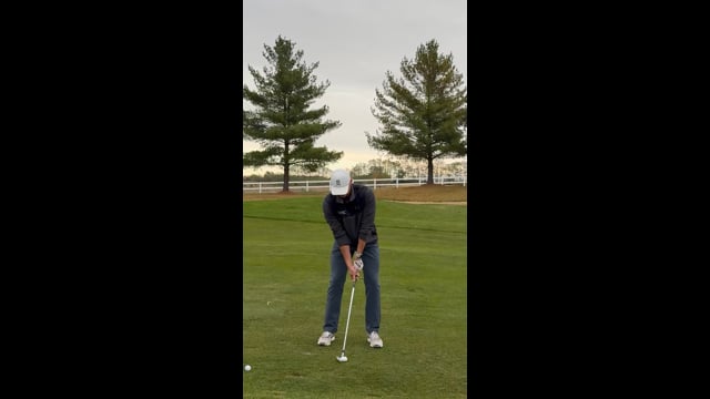Play swing video