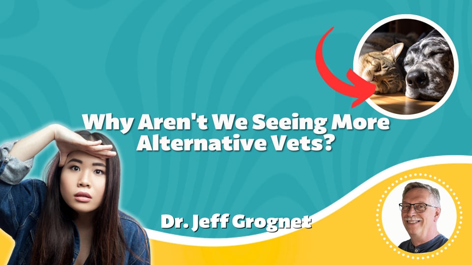 Why are we not Seeing More Alternative Vets?