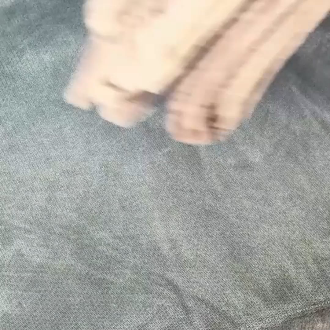 שמיכת חורף  מיקרופייבר - Solid