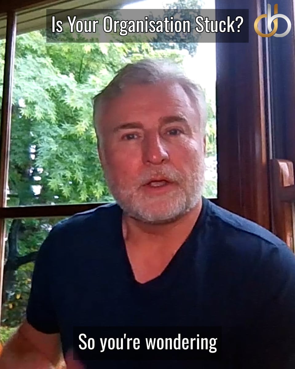 Unblocking Organisational Performance