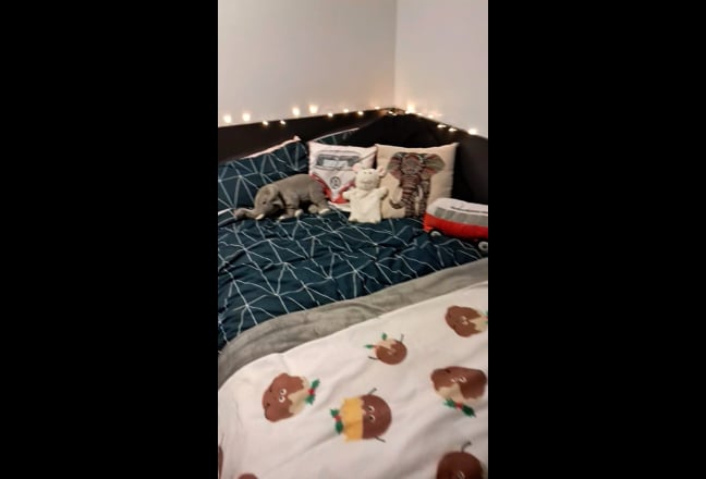 En-suite room at Clarence Dock Village Main Photo