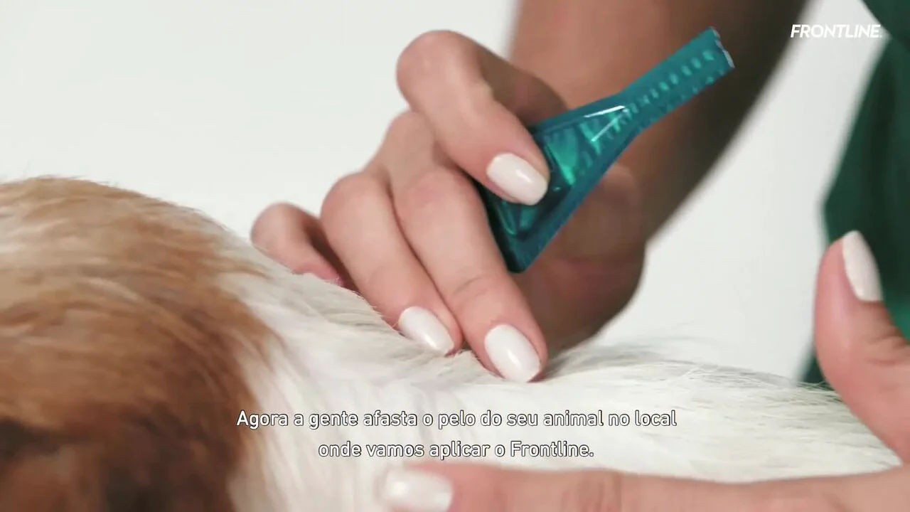 Frontline Plus Cães | A proteção ideal para seu pet