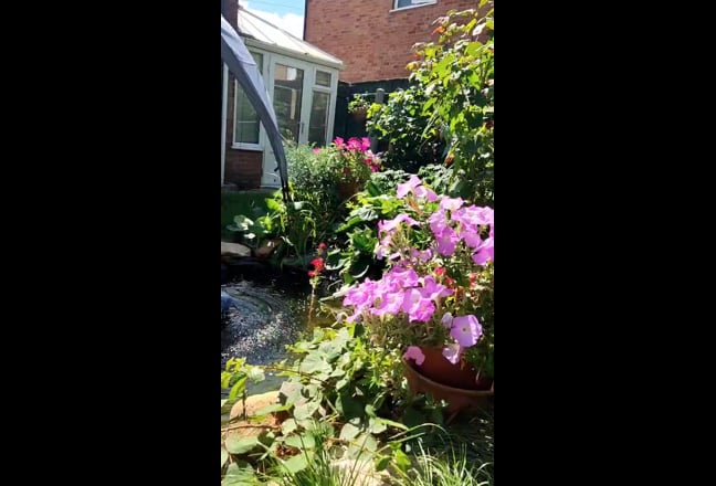 2 rooms. Prof / Student Rms fr £400 p/m. Near Uni  Main Photo