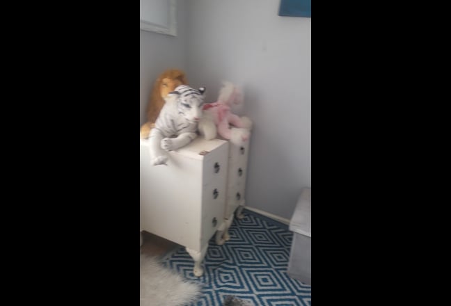 Cosy single room. Main Photo