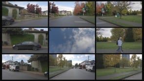 0238 Residential KitsPoint FallColours Day