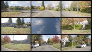 0240 Residential Dunbar FallColours Day