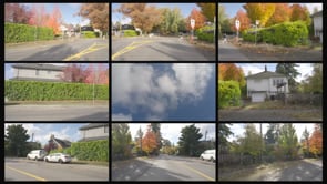 0243 Residential Dunbar FallColours Day