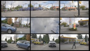 0245 Commercial Dunbar FallColours Day