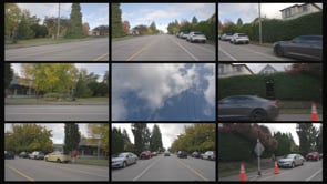 0246 Commercial Dunbar FallColours Day