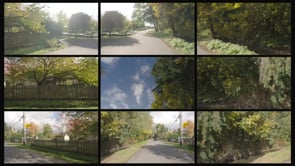 0250 Residential Southlands HorseStables FallColours Day