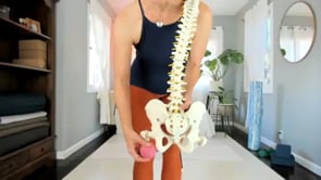 Functional Body Lab | Hip Vitamins 2.0
