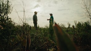 Related Embedded Video Item Thumbnail