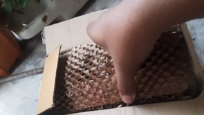 User video