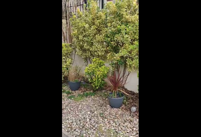 Charming 1 Bed Apartment Hospital/Nature Walks Main Photo