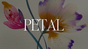 Petal - Explore