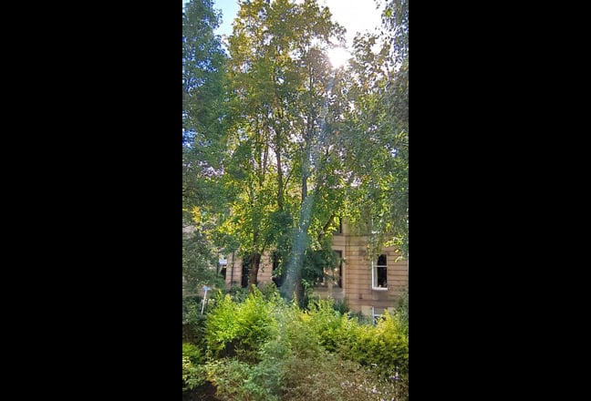 Strathbungo room to rent  Main Photo