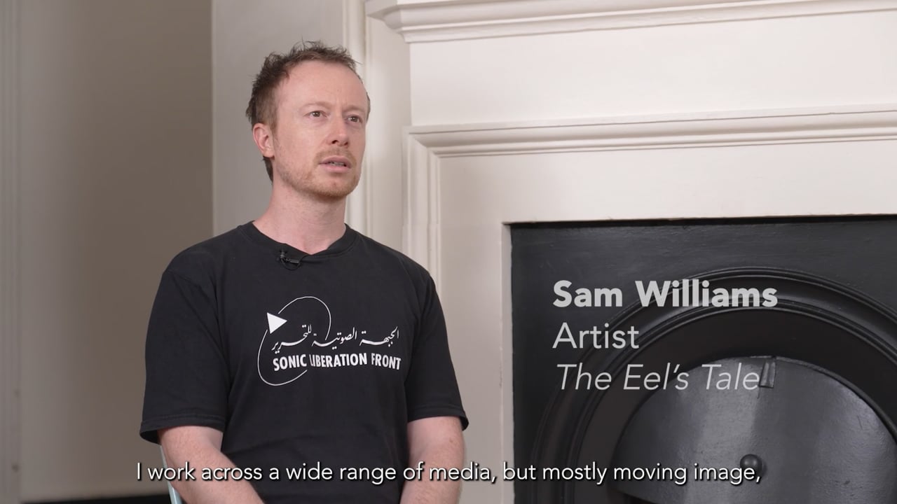 FVU Frames: Sam Williams, 'The Eel's Tale' (2025)