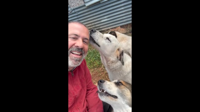 Δεσφίνα Φωκίδας: Δίνει αμοιβή σε όποιον αποκαλύψει ποιος δολοφόνησε τα σκυλιά που φρόντιζε 20-10-2025