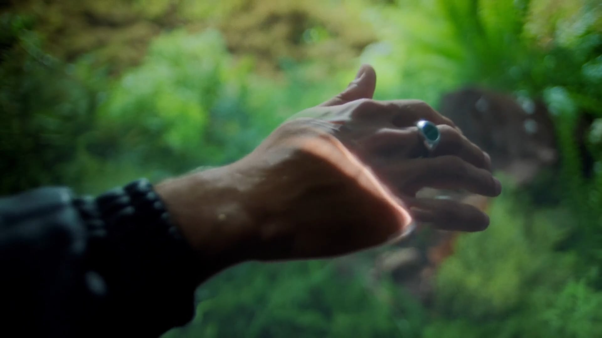 Sunset Strip - HARVEY WILLIS