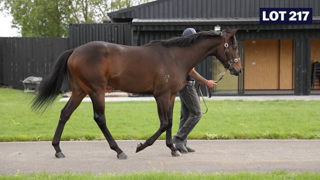 Lot 217