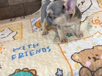 My personality & characteristics